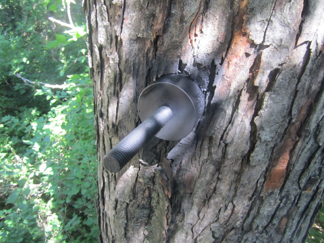 Garnier Limb installed