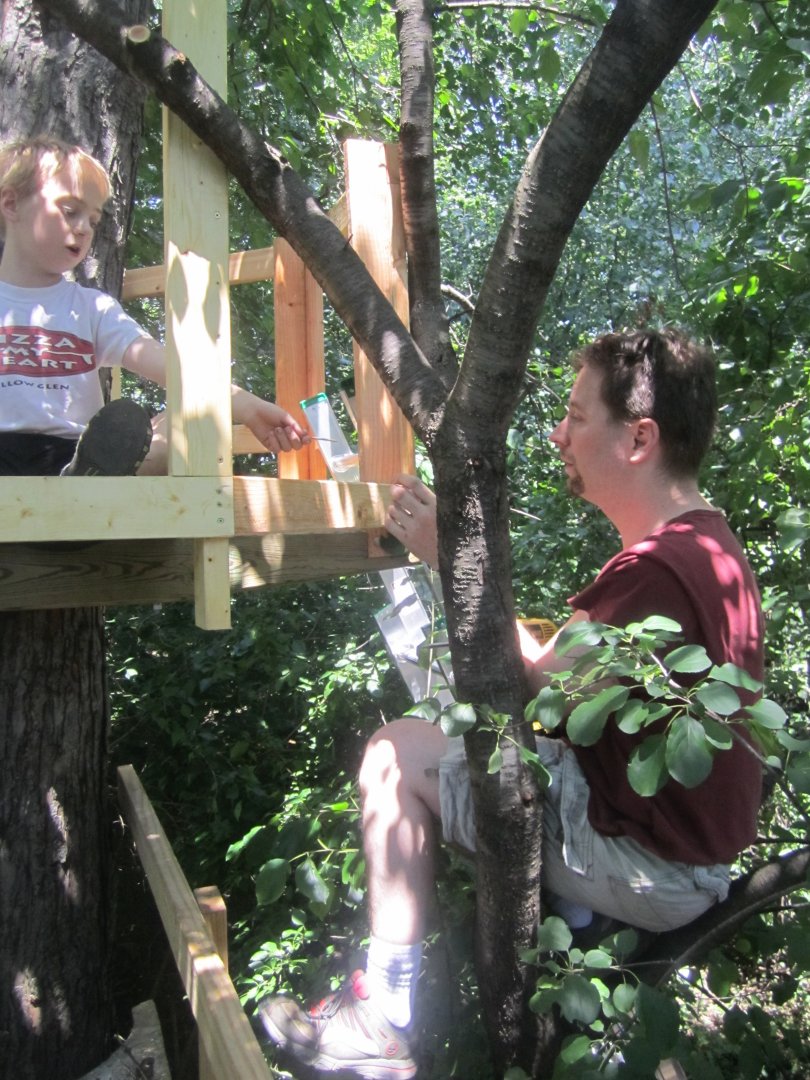 We have a ladder, really